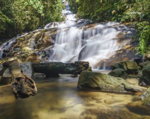 Celebrating Raya in Style: Selangor’s Most Enchanting Mall Experiences 10