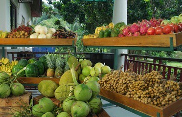 Discover Kuala Selangor 3