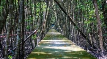 Kuala Selangor Nature Park
