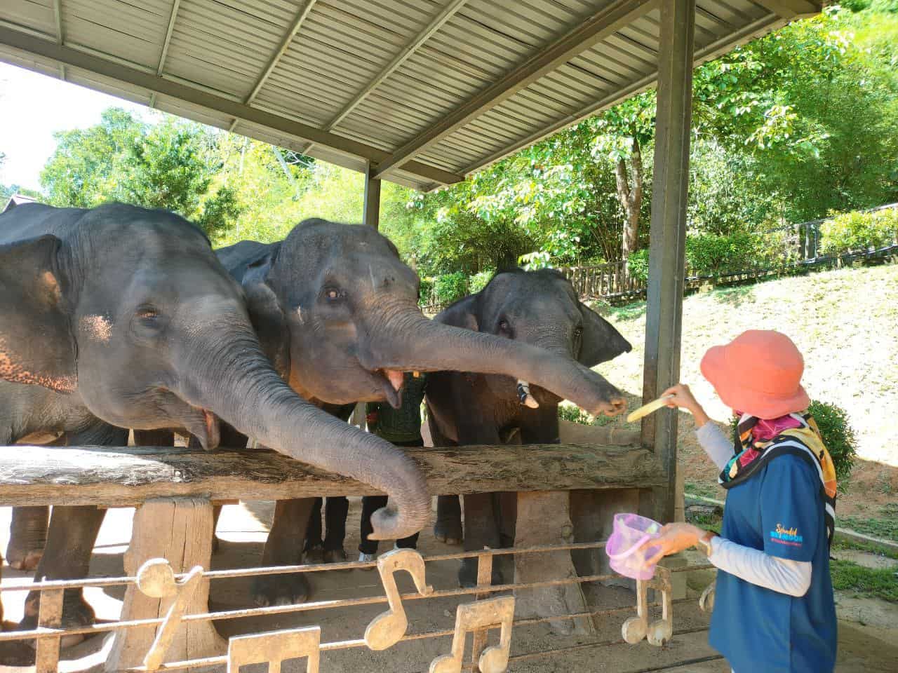 Selangor Enhances Community-Based Cultural Tourism For 2023 4 Selangor Enhances Community-Based Cultural Tourism For 2023 4