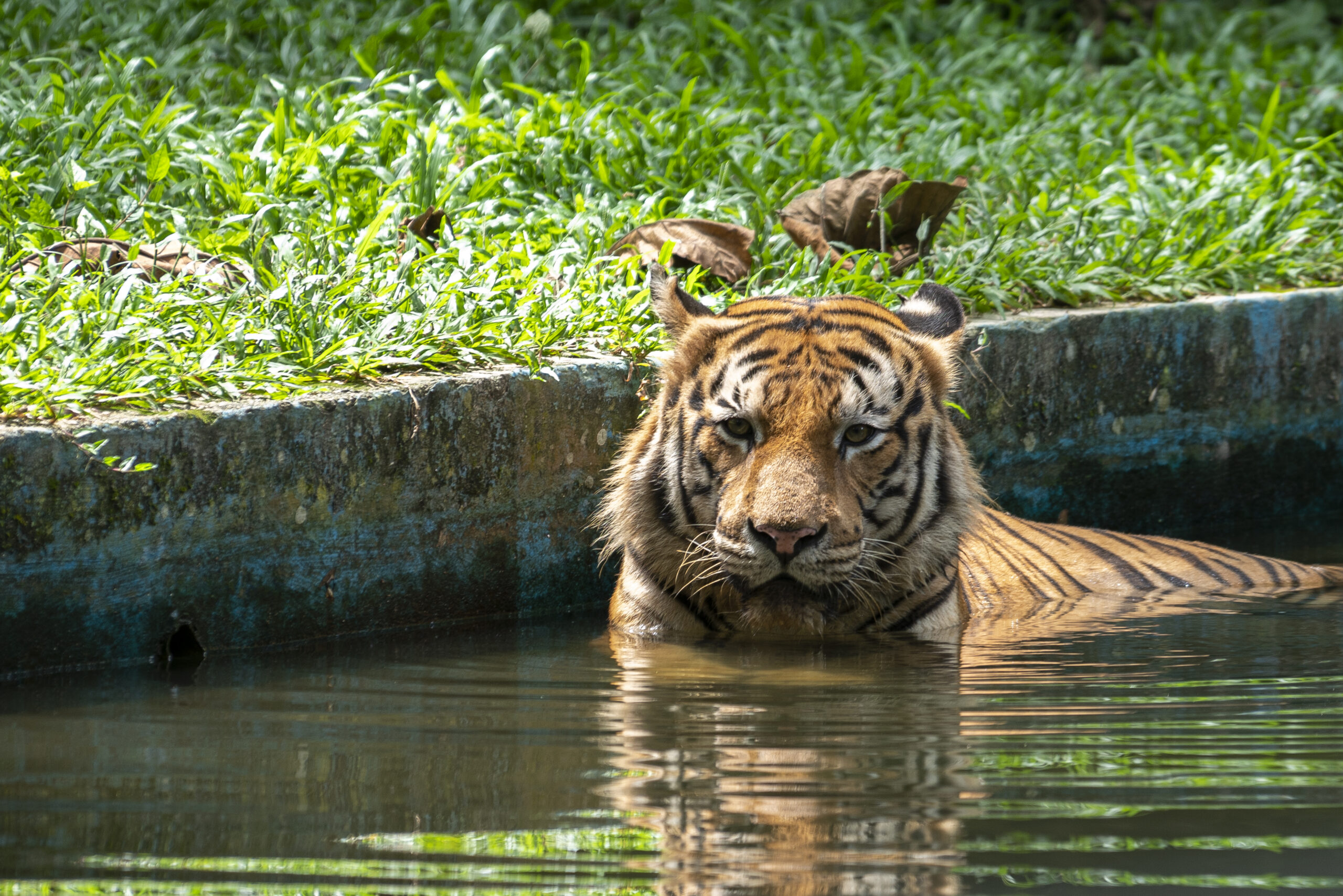 11 Kid-Friendly Destinations in Selangor 7