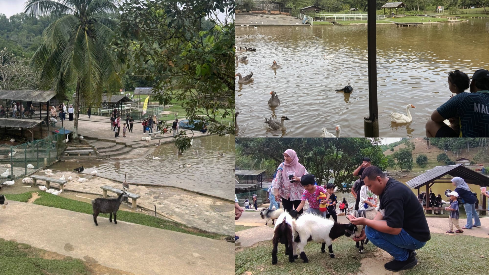 5 Free Attractions In Selangor Worth Adding To Your Road Trip Itinerary [Tourism Selangor x Batteriku] 7