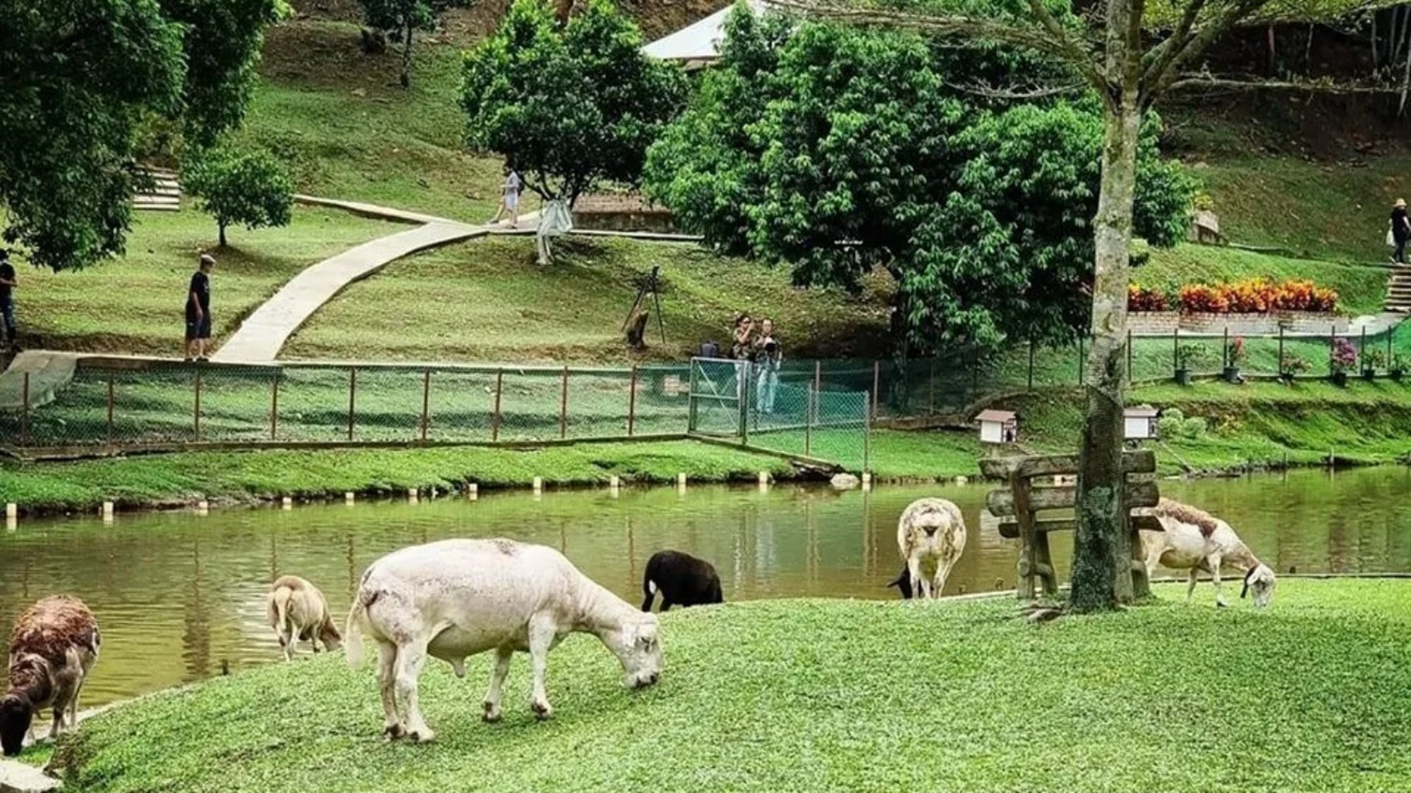 5 Free Attractions In Selangor Worth Adding To Your Road Trip Itinerary [Tourism Selangor x Batteriku] 6