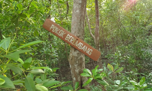 A Hidden Mangrove Escape in Selangor: Taman Rekreasi Paya Bakau Kg Sijangkang [Tourism Selangor x Batteriku] 3